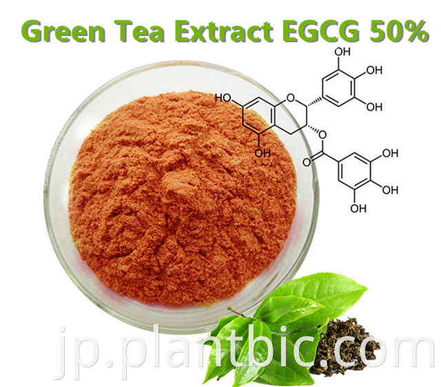 Green TEa extract EGCG 